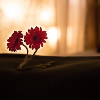 Fleures posées sur le lit